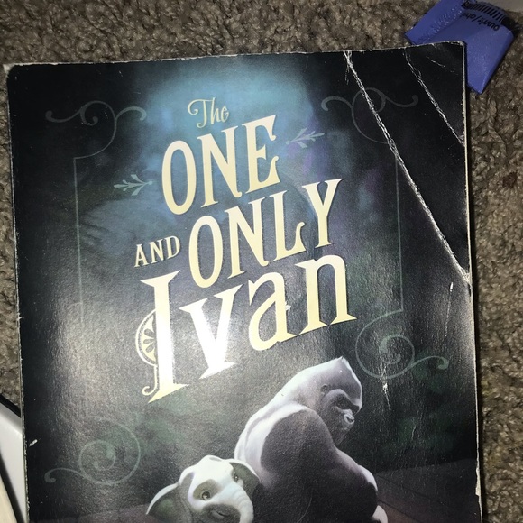 Books - Picture 2 of 6